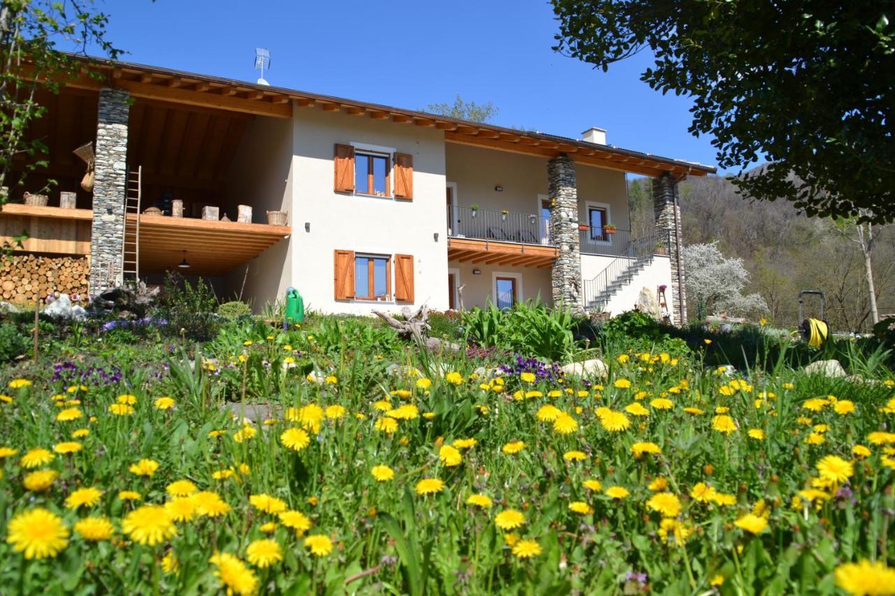 Semi Al Vento: La Bio-Casa Nel Giardino Incantato! Paesana Exterior foto