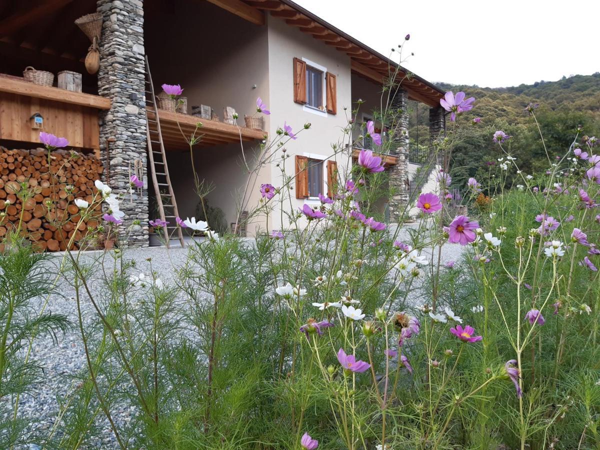 Semi Al Vento: La Bio-Casa Nel Giardino Incantato! Paesana Exterior foto