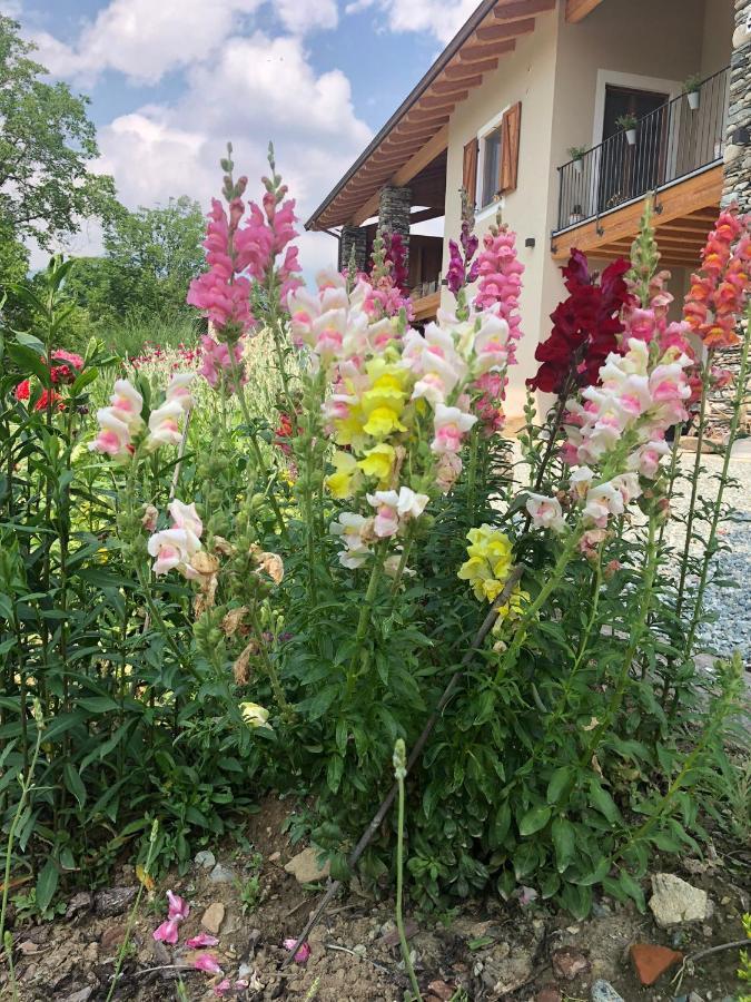 Semi Al Vento: La Bio-Casa Nel Giardino Incantato! Paesana Exterior foto