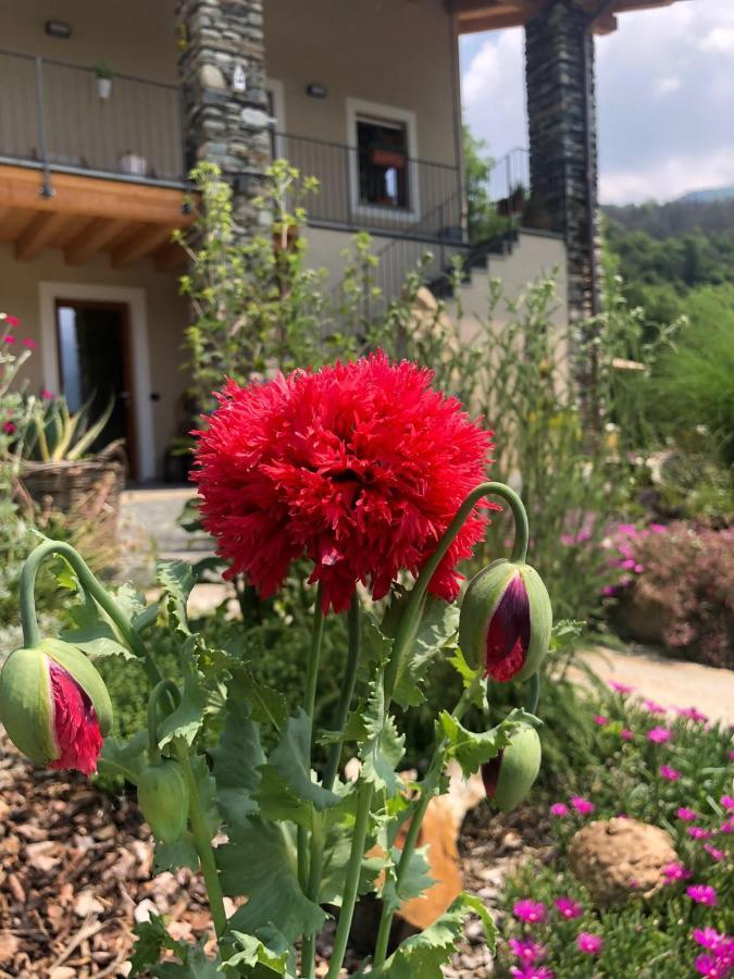 Semi Al Vento: La Bio-Casa Nel Giardino Incantato! Paesana Exterior foto