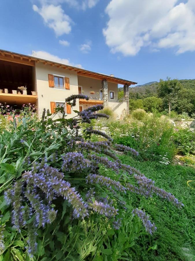 Semi Al Vento: La Bio-Casa Nel Giardino Incantato! Paesana Exterior foto