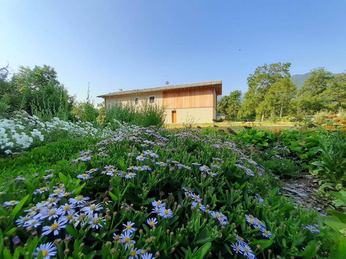 Semi Al Vento: La Bio-Casa Nel Giardino Incantato! Paesana Exterior foto