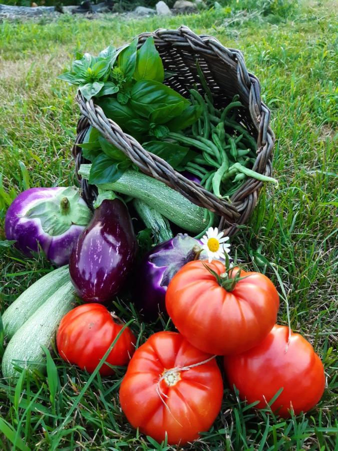Semi Al Vento: La Bio-Casa Nel Giardino Incantato! Paesana Exterior foto