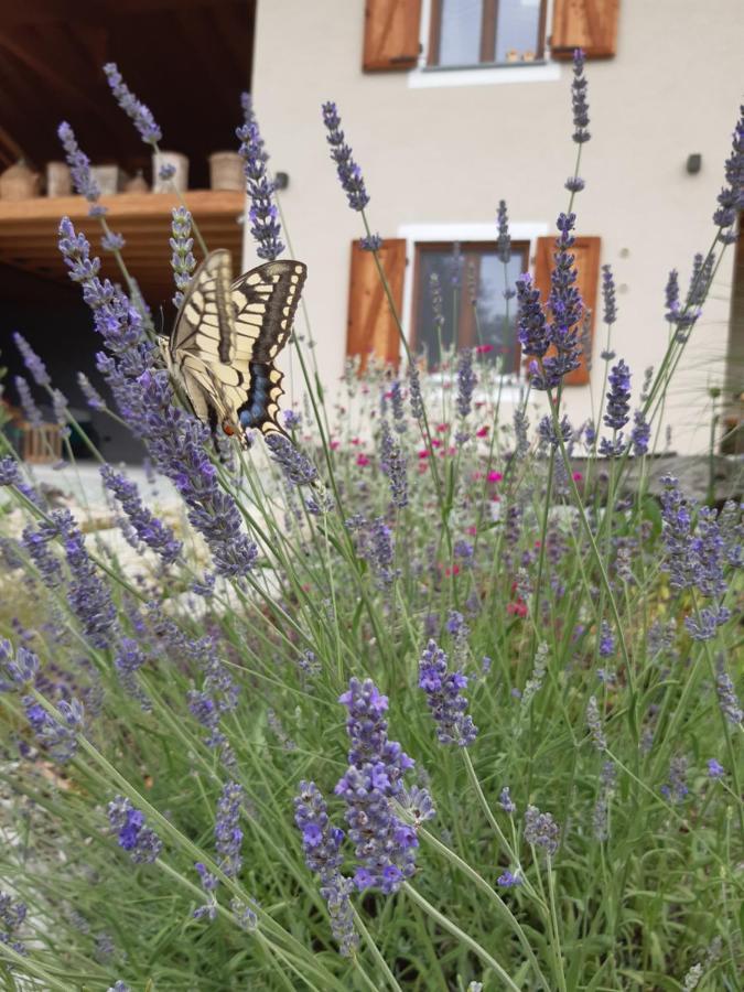 Semi Al Vento: La Bio-Casa Nel Giardino Incantato! Paesana Exterior foto